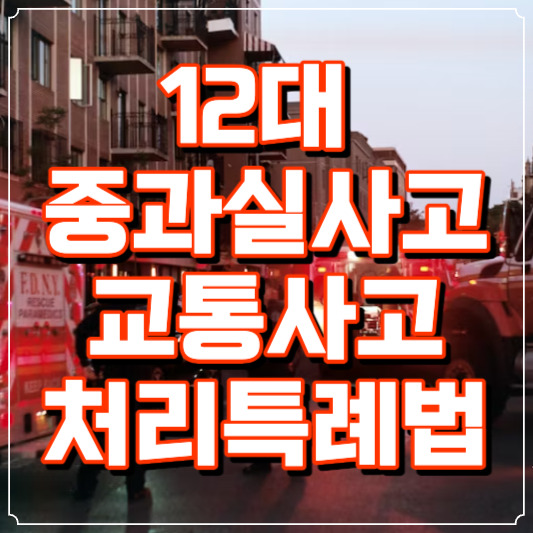 12대 중과실사고 교통사고 처리특례법