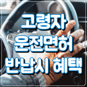 고령자 운전면허