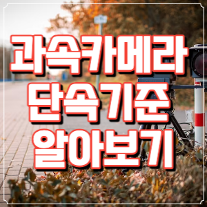 과속카메라 단속기준