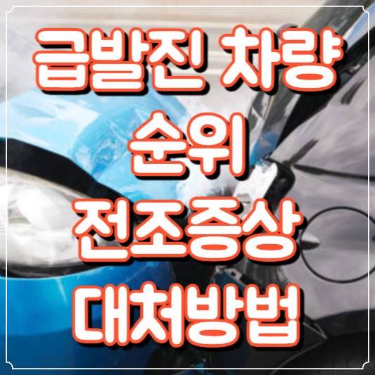 급발진 차량 순위 전조증상