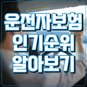 운전자보험 인기순위