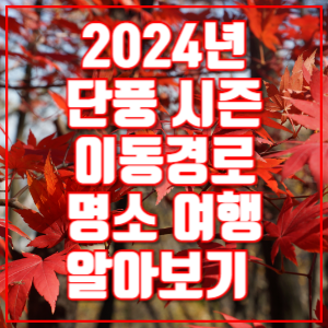 2024년 단풍 시즌 이동경로 명소 여행 알아보기